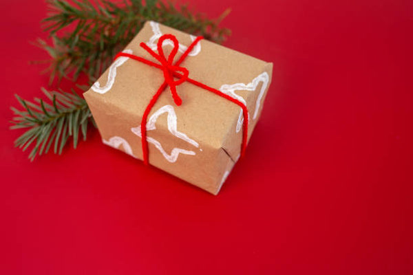 Your Last-Minute MWTP Holiday Gift Guide (Under $100)